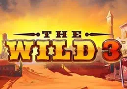 Игровой автомат The Wild 3
